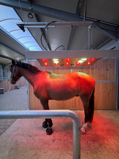 Solarium